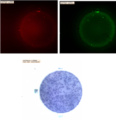 Beispiel erkannter Assays