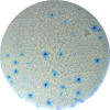 Elispot in 384 microfilter plates Icon